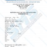 Hợp đồng đặt cọc mua bán hàng hóa (货物购销交押合同) song ngữ Việt-Trung