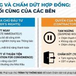 Tạm ngừng và Chấm dứt Hợp đồng FIDIC: Vũ khí cuối cùng của các bên
