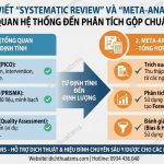 Hướng Dẫn Viết Systematic Review & Meta-Analysis: Quy Trình PRISMA Chuẩn Quốc Tế & Chiến Lược Đăng Báo Q1