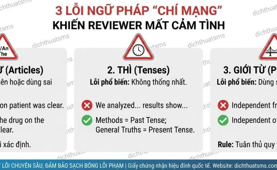 3 LỖI NGỮ PHÁP "CHÍ MẠNG" CỦA NGƯỜI VIỆT KHIẾN REVIEWER KHÓ CHỊU (ARTICLES, TENSES, PREPOSITIONS)
