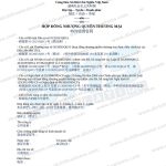 hợp đồng nhượng quyền thương mại tiếng Trung