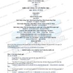 điều lệ công ty cổ phần tiếng Trung