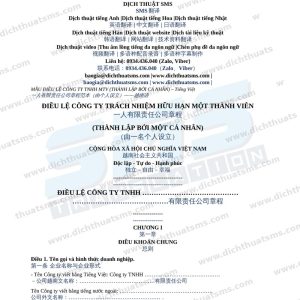 điều lệ công ty TNHH MTV do cá nhân làm chủ tiếng Trung