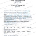 hợp đồng cho thuê phần mềm tiếng Trung