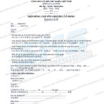 Mẫu hợp đồng chuyển nhượng cổ phần song ngữ Việt Trung (股份转让合同) - file Word tải về từ Dịch Thuật SMS