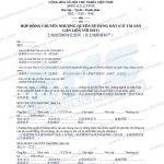 hợp đồng chuyển nhượng quyền sử dụng đất tiếng Trung