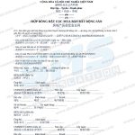 Mẫu hợp đồng đặt cọc mua bán bất động sản tiếng Trung