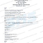 Mẫu hợp đồng hợp tác kinh doanh tiếng Trung (商业合作合同 BCC) - file Word tải về từ Dịch Thuật SMS