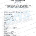 hợp đồng dịch vụ lập hồ sơ giao dịch liên kết tiếng Trung