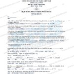 hợp đồng phát triển phần mềm tiếng Trung