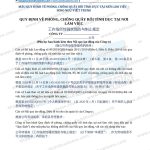 Mẫu Quy định về phòng, chống quấy rối tình dục tại nơi làm việc song ngữ Việt Trung