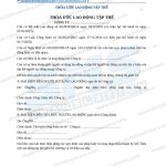 Mẫu Thỏa ước lao động tập thể song ngữ Việt Trung