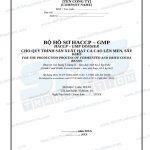 Bộ hồ sơ HACCP-GMP hạt ca cao song ngữ Anh Việt
