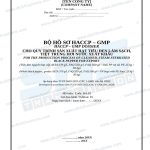 Bộ hồ sơ HACCP-GMP hạt tiêu đen song ngữ Anh Việt